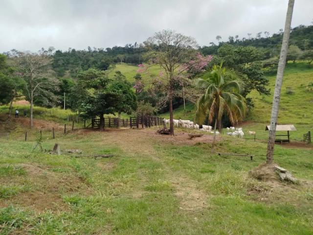 Fazenda venda em Região Geográfica Imediata de Cachoeiro de Itapemirim, Cachoeiro de Itapemirim