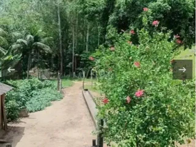 Fazenda venda em Região Geográfica Imediata de Cachoeiro de Itapemirim, Cachoeiro de Itapemirim