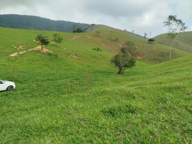 Fazenda venda em Cachoeiro de Itapemirim, Região Geográfica Intermediária de Cachoeiro de Itapemirim
