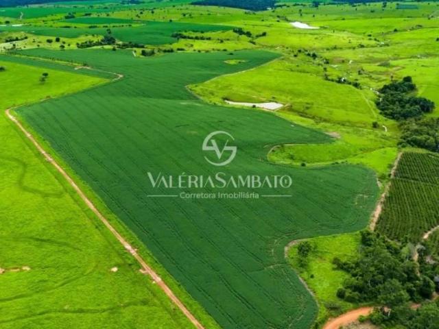 Fazenda venda em Cacoal