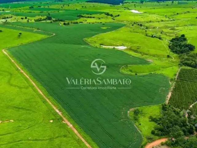 Fazenda venda em Cristal do Arco Iris, Cacoal