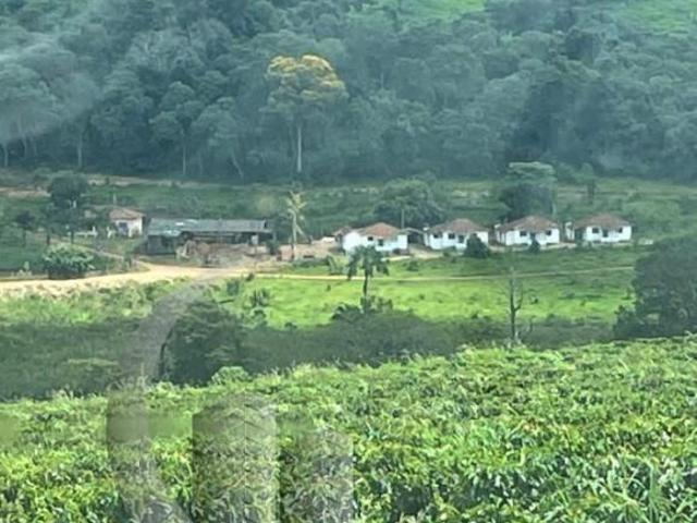 Sítio e chácara venda em Região Imediata de São José do Rio Pardo-Mococa, Caconde