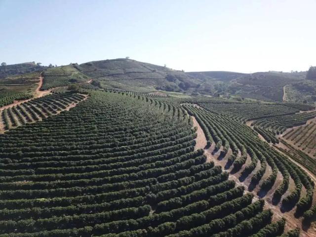 Fazenda venda em Região Geográfica Imediata de Montes Claros, Montes Claros