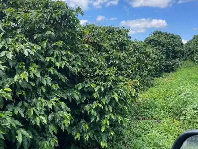 Fazenda venda em Região Geográfica Imediata do Distrito Federal, Região Integrada de Desenvolvimento do Distrito Federal e Entorno