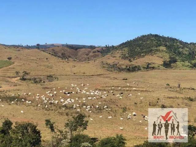 Fazenda venda em Região Imediata de São José do Rio Pardo-Mococa, Caconde