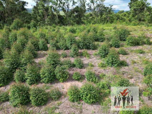 Fazenda venda em Caconde, Região Geográfica Intermediária de Campinas