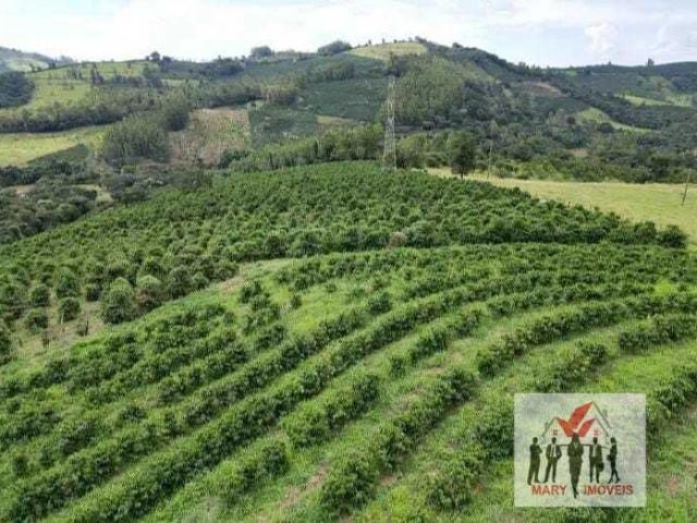 Fazenda venda em Caconde
