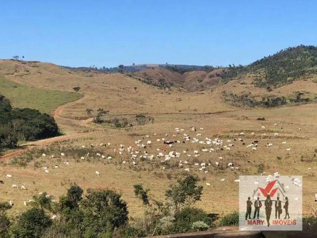 Fazenda venda em Região Imediata de São José do Rio Pardo-Mococa, Caconde