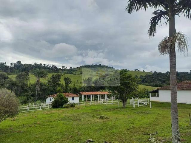 Fazenda venda em Região Imediata de São José do Rio Pardo-Mococa, Caconde