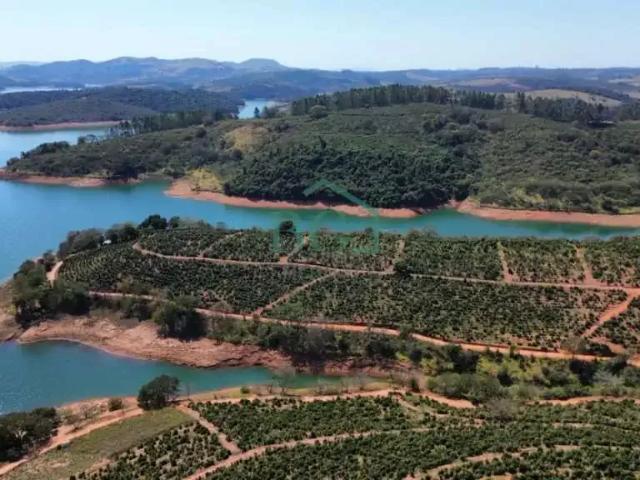 Fazenda venda em Região Imediata de São José do Rio Pardo-Mococa, Caconde