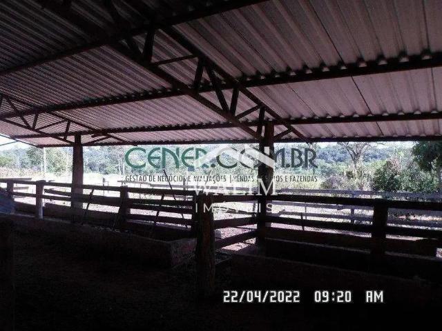 Fazenda venda em Região Geográfica Imediata de Sete Lagoas, Caetanópolis