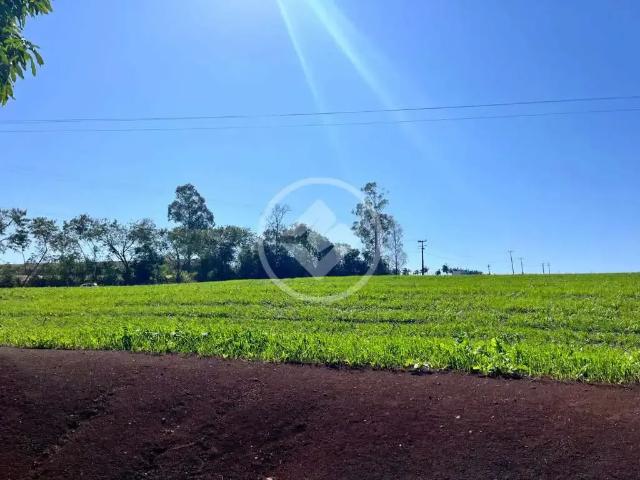 Fazenda venda em Região Geográfica Imediata de Cascavel, Cafelândia