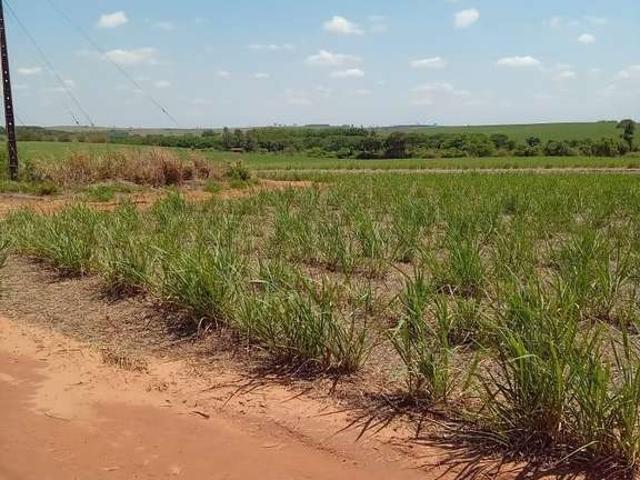 Fazenda venda em Região Geográfica Imediata de Cascavel, Cafelândia