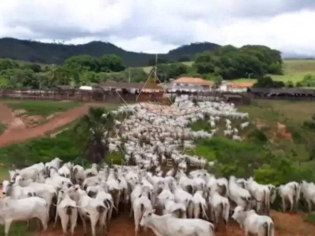Fazenda venda em Região Geográfica Imediata de Jataí-Mineiros, Caiapônia