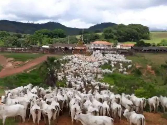 Fazenda venda em Região Geográfica Imediata de Jataí-Mineiros, Caiapônia