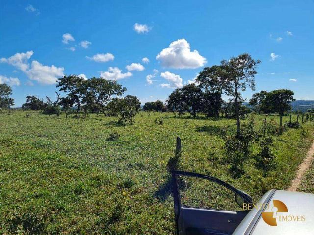Fazenda venda em Caiapônia, Região Geográfica Intermediária de Rio Verde