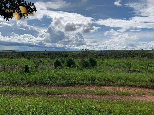 Fazenda venda em Região Geográfica Imediata de Jataí-Mineiros, Caiapônia