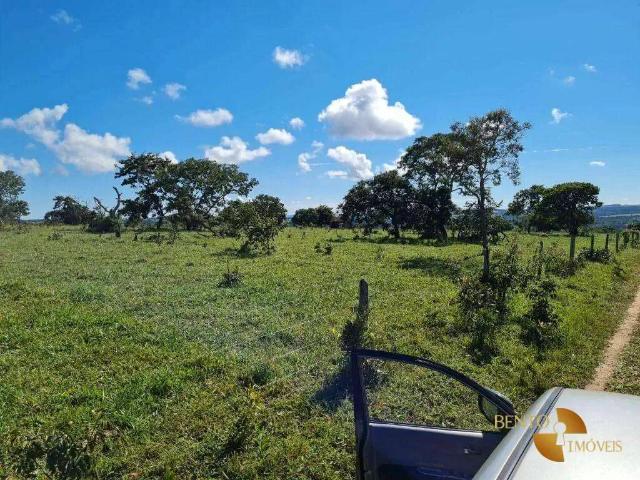 Fazenda venda em Região Geográfica Imediata de Jataí-Mineiros, Caiapônia