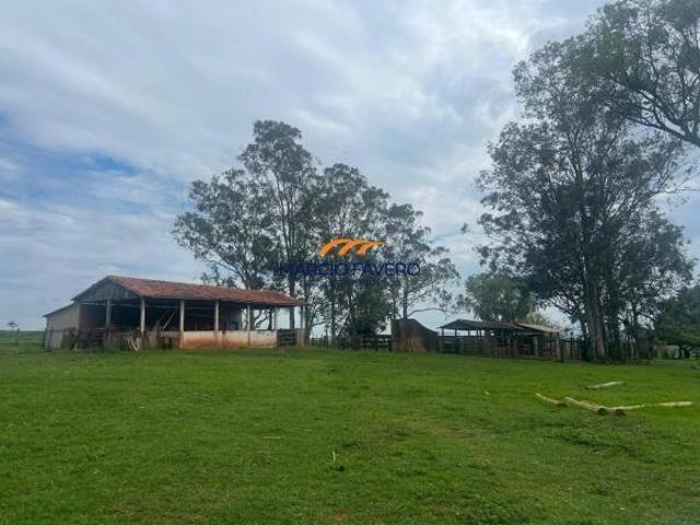Sítio e chácara venda em Caiuá
