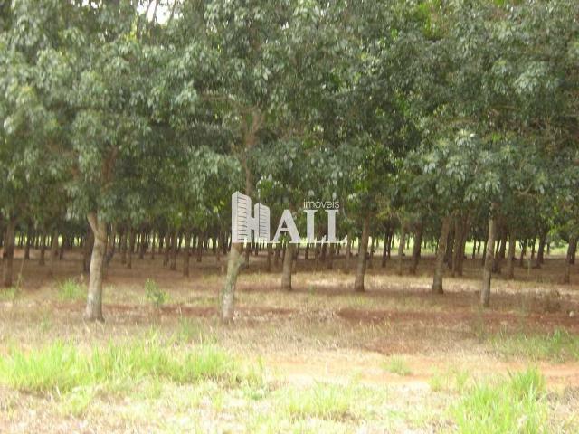 Fazenda venda em Região Imediata de Presidente Epitácio-Presidente Venceslau, Caiua