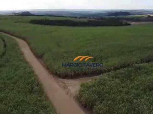 Sítio e chácara venda em Região Imediata de Ribeirão Preto, Região Metropolitana de Ribeirão Preto