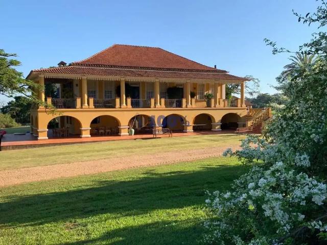 Fazenda venda em Região Imediata de Ribeirão Preto, Região Metropolitana de Ribeirão Preto