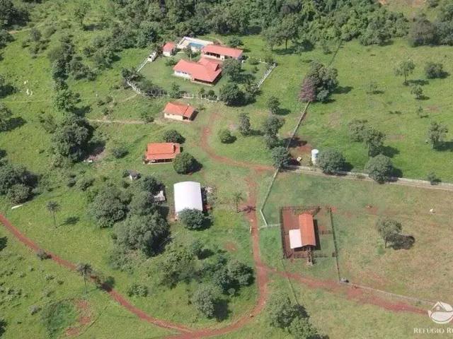 Fazenda venda em Região Imediata de Ribeirão Preto, Região Metropolitana de Ribeirão Preto