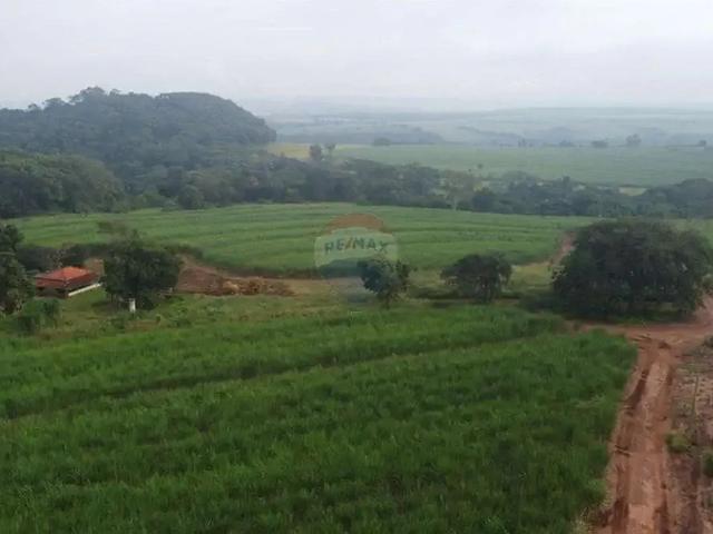 Fazenda venda em Região Imediata de Ribeirão Preto, Região Metropolitana de Ribeirão Preto