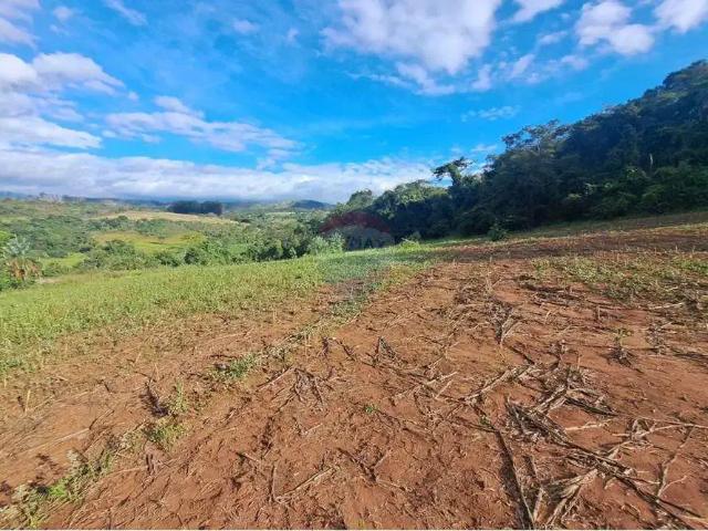 Fazenda venda em Região Imediata de Ribeirão Preto, Região Metropolitana de Ribeirão Preto