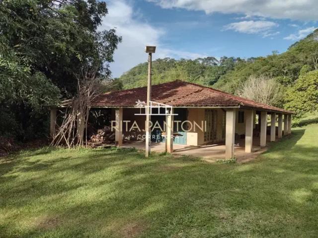 Fazenda venda em Região Imediata de Ribeirão Preto, Região Metropolitana de Ribeirão Preto
