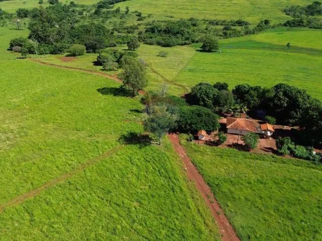 Fazenda venda em Região Imediata de Ribeirão Preto, Região Metropolitana de Ribeirão Preto
