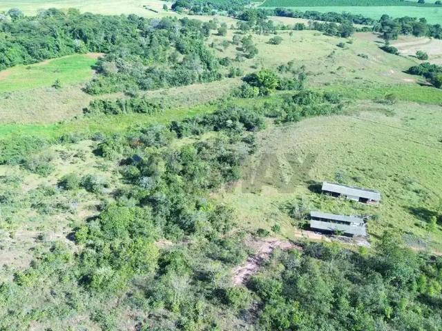 Fazenda venda em Região Imediata de Ribeirão Preto, Região Metropolitana de Ribeirão Preto