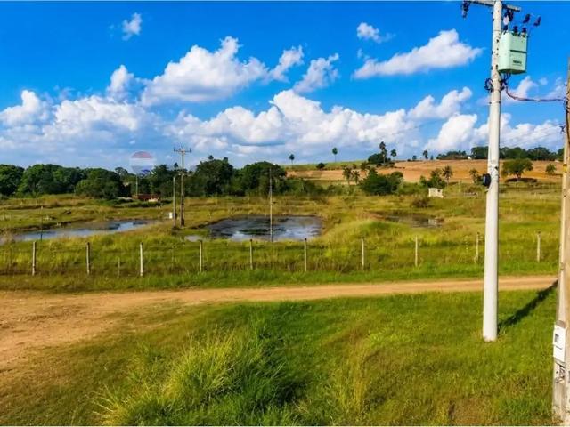 Fazenda venda em Região Imediata de Ribeirão Preto, Região Metropolitana de Ribeirão Preto