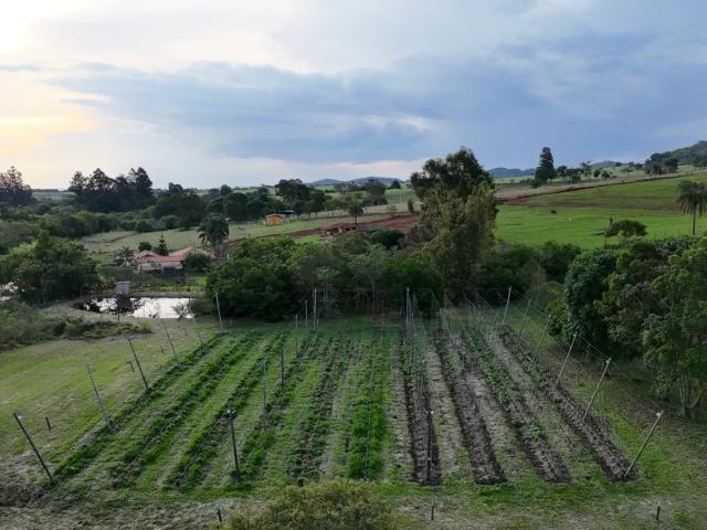 Fazenda venda em Região Imediata de Ribeirão Preto, Região Metropolitana de Ribeirão Preto