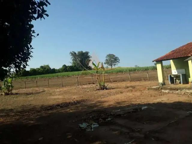 Fazenda venda em Região Imediata de Ribeirão Preto, Região Metropolitana de Ribeirão Preto
