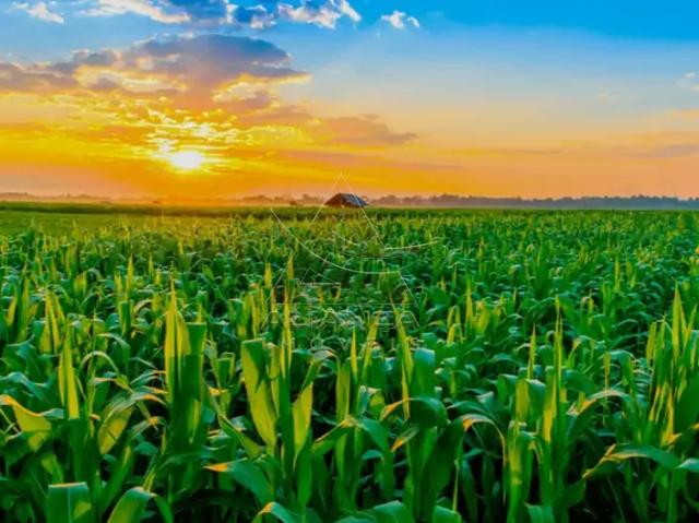 Fazenda venda em Região Imediata de Ribeirão Preto, Região Metropolitana de Ribeirão Preto