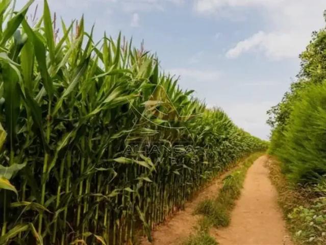 Fazenda venda em Região Imediata de Ribeirão Preto, Região Metropolitana de Ribeirão Preto