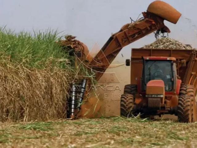 Fazenda venda em Região Imediata de Ribeirão Preto, Região Metropolitana de Ribeirão Preto