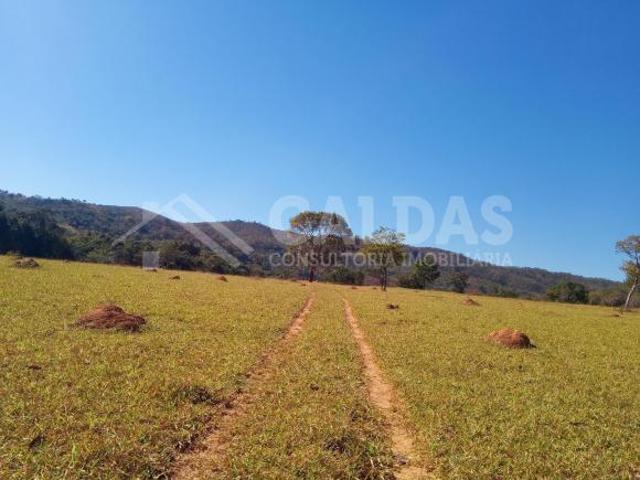Sítio e chácara venda em Centro, Caldas Novas