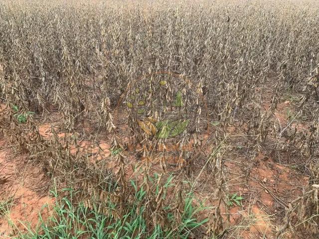 Fazenda venda em Região Geográfica Imediata de Caldas Novas-Morrinhos, Caldas Novas