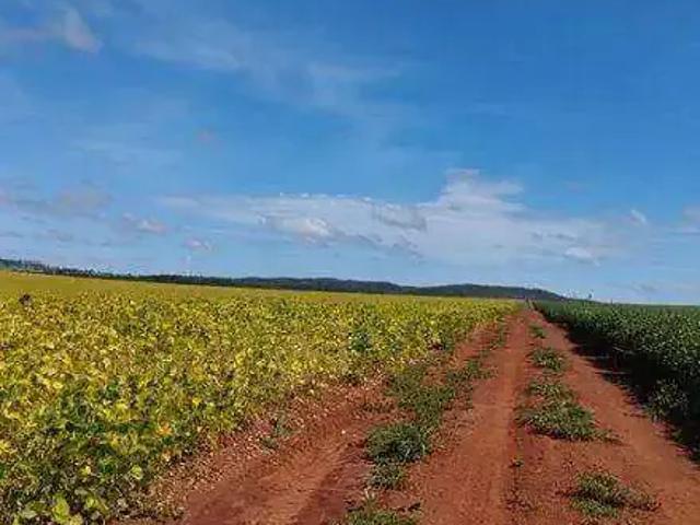 Fazenda venda em Região Geográfica Imediata de Caldas Novas-Morrinhos, Caldas Novas