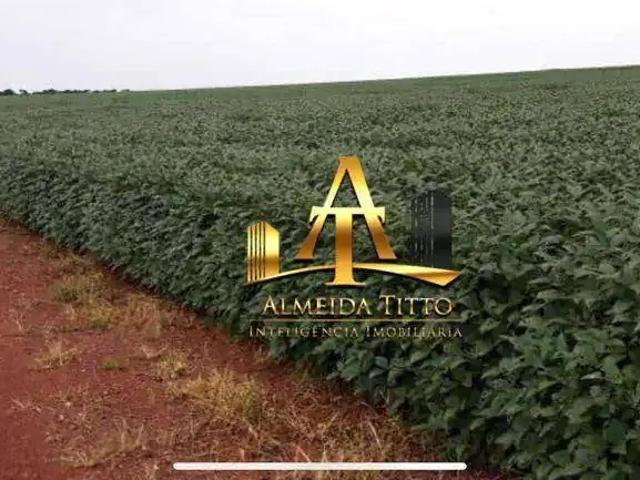 Fazenda venda em Região Geográfica Imediata de Caldas Novas-Morrinhos, Caldas Novas