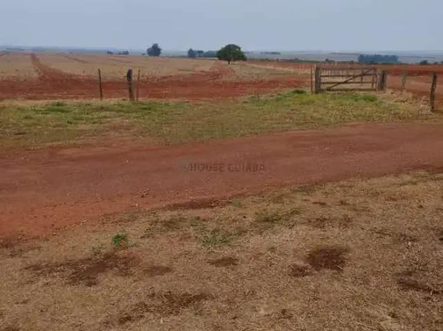 Fazenda venda em Região Geográfica Imediata de Caldas Novas-Morrinhos, Caldas Novas