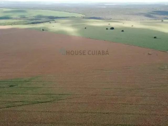 Fazenda venda em Região Geográfica Imediata de Goiás - Itapuranga, Goiás
