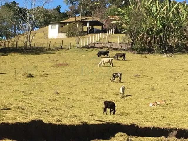 Fazenda venda em Região Geográfica Imediata de Poços de Caldas, Caldas