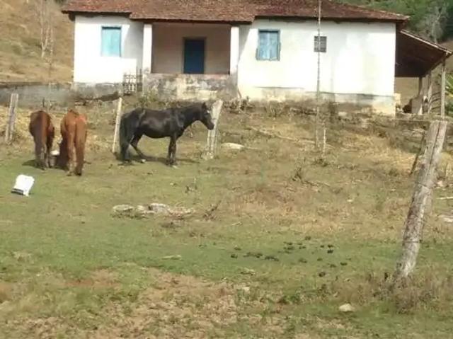 Fazenda venda em Região Geográfica Imediata de Poços de Caldas, Caldas