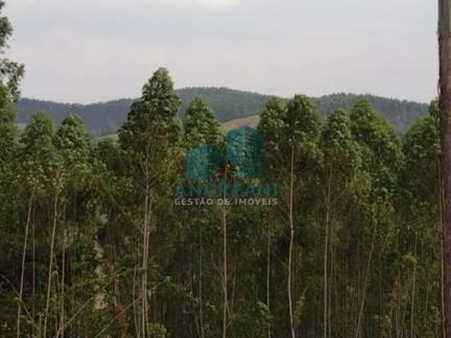 Fazenda venda em Região Geográfica Imediata de Rio Branco, Rio Branco