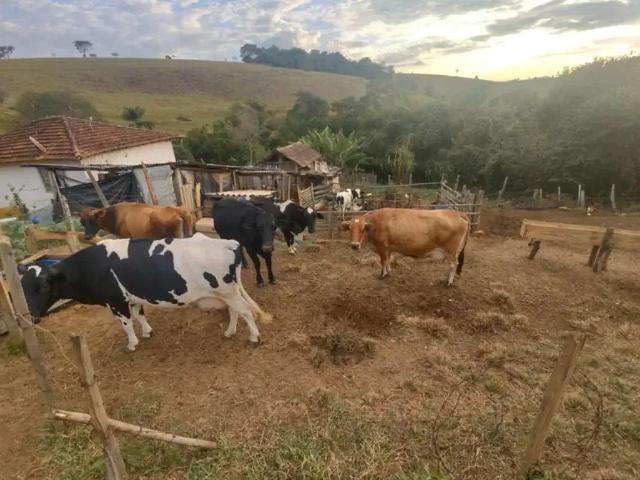 Fazenda venda em Região Geográfica Imediata de Poços de Caldas, Caldas
