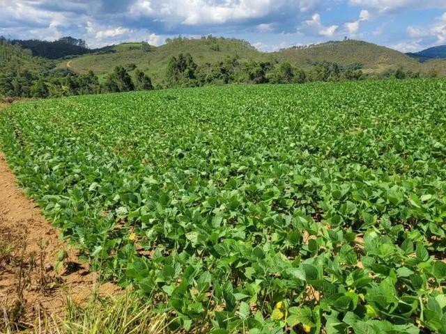 Fazenda venda em Região Geográfica Imediata de Poços de Caldas, Caldas