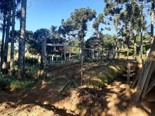 Fazenda venda em Caldas, Região Geográfica Intermediária de Pouso Alegre